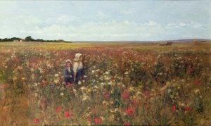 Poppyfield, 1897